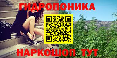 apvp Ливны
