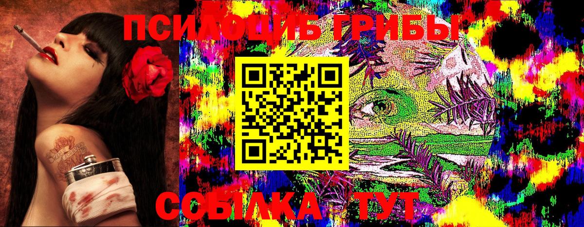 Псилоцибиновые грибы Cubensis  Вход с VPN  Псилоцибиновые грибы Magic Shrooms  Елец 