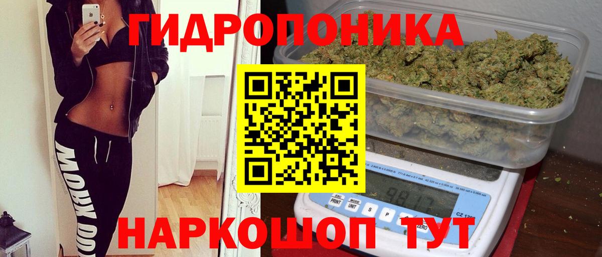 Бошки Шишки ГИДРОПОН Елец